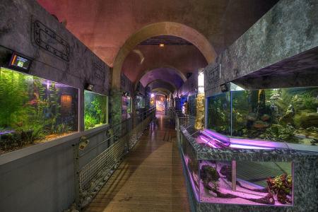 Aquarium de Limousin